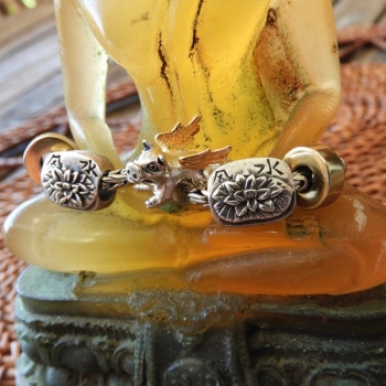 Redbalifrog - Wenn Schweine fliegen - Limitierte Edition mit goldenen Flügeln