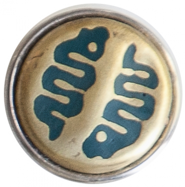 DOUBLE SNAKE-gold/türkis-Messing mit Resin