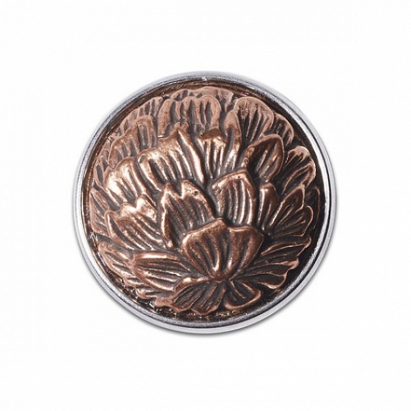 CARNATION - Dianthus kupfer