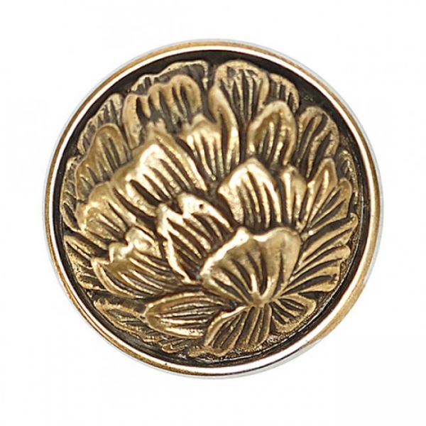 CARNATION DIANTHUS gold